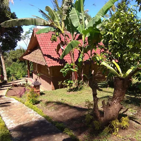 Bali Mountain Forest Cabin
