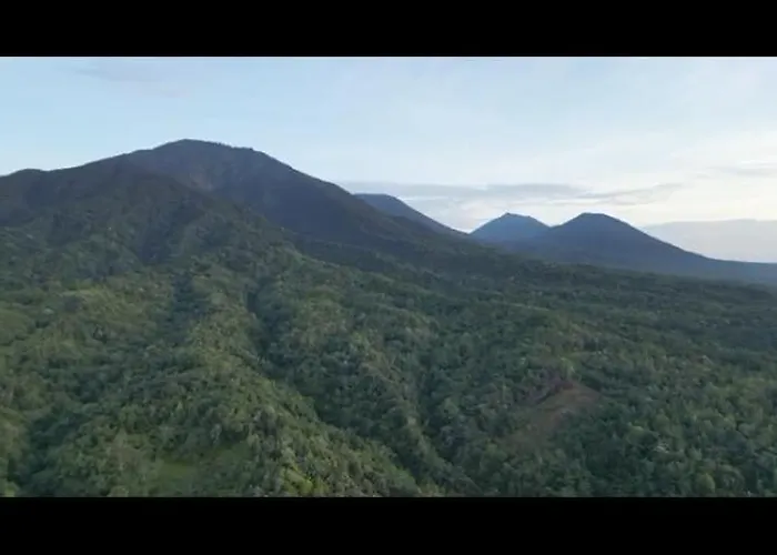 Lodge Bali Mountain Forest Penebel