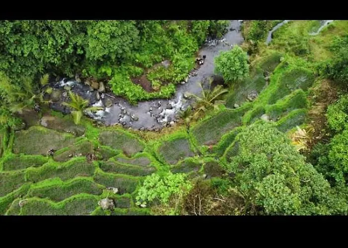 Bali Mountain Forest Lodge *