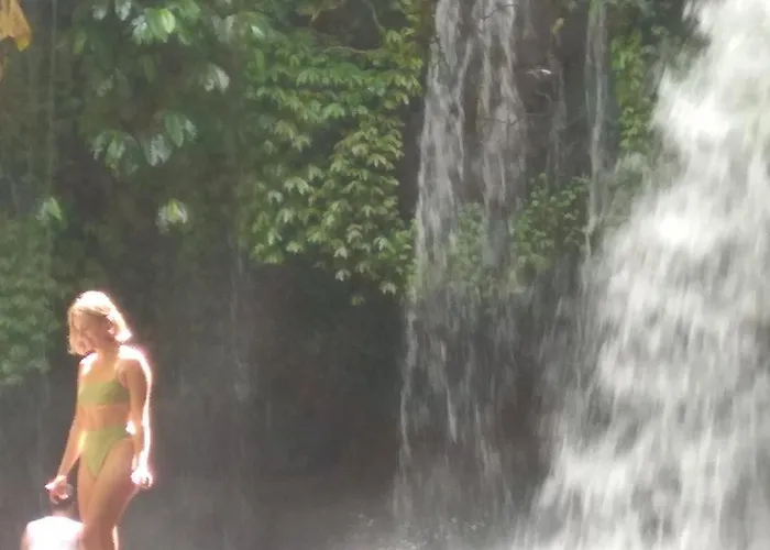 Bali Mountain Forest Orman Evi