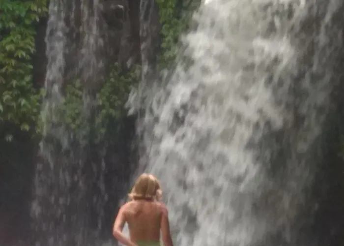 Bali Mountain Forest * Penebel