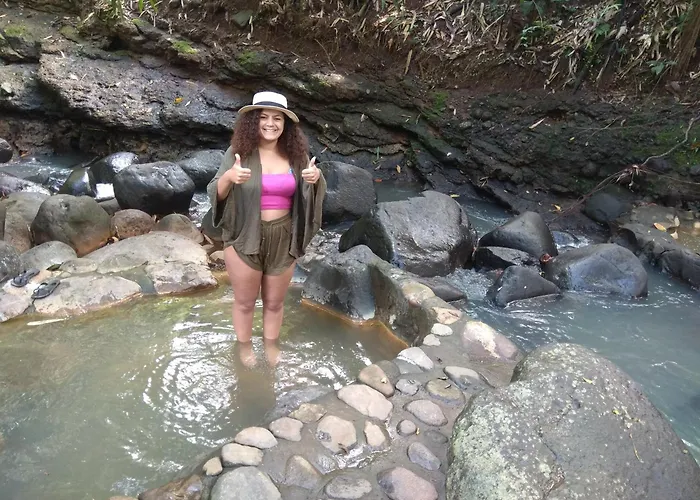 Bali Mountain Forest Orman Evi Penebel