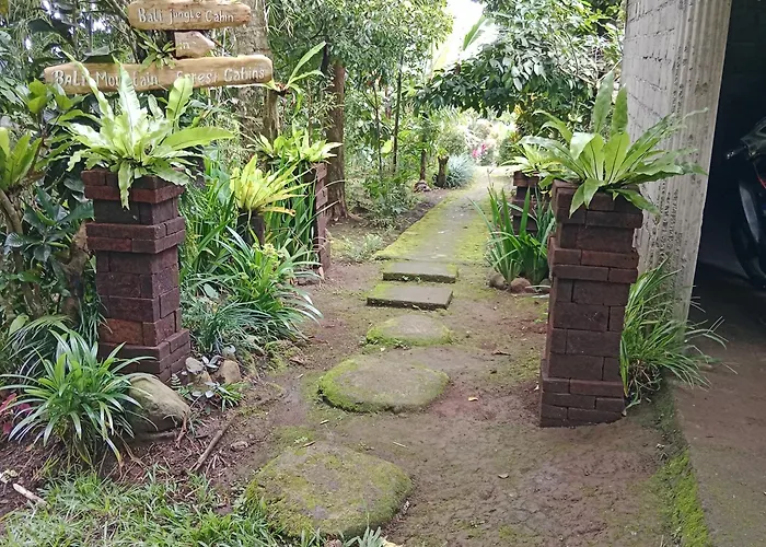 Orman Evi Bali Mountain Forest