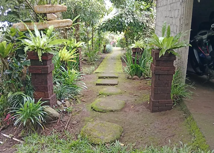 Lodge Bali Mountain Forest *