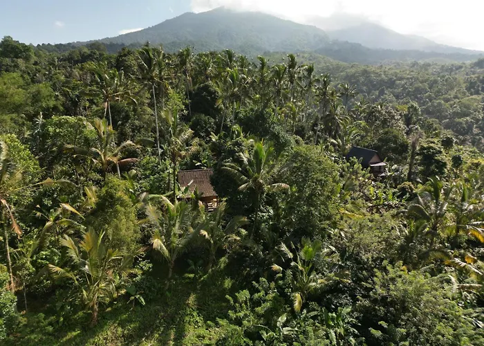 Lodge Bali Mountain Forest Penebel