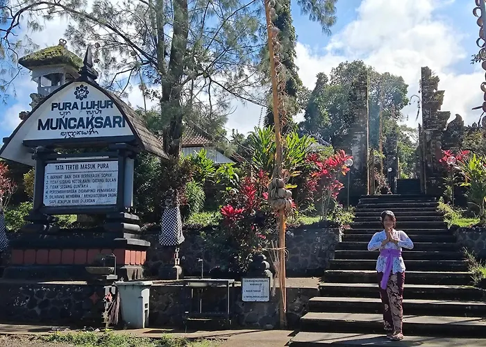 Bali Mountain Forest * Penebel