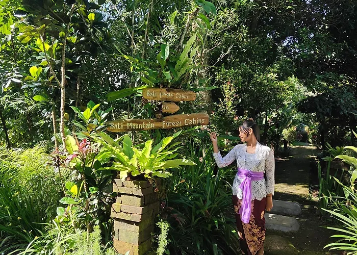 Lodge Bali Mountain Forest *
