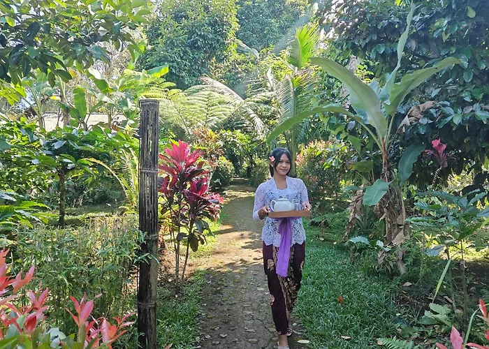Bali Mountain Forest * Penebel