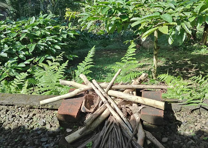 Bali Mountain Forest Penebel