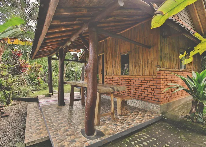 Bali Mountain Forest Penebel