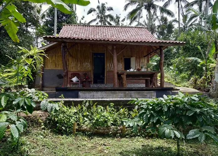 Bali Mountain Forest * Penebel