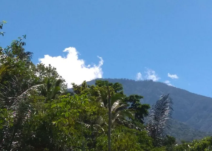 Lodge Bali Mountain Forest Penebel