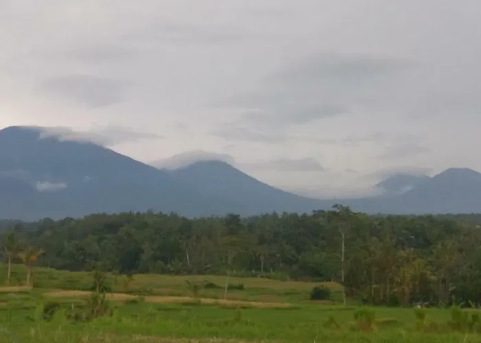 Lodge Bali Mountain Forest *