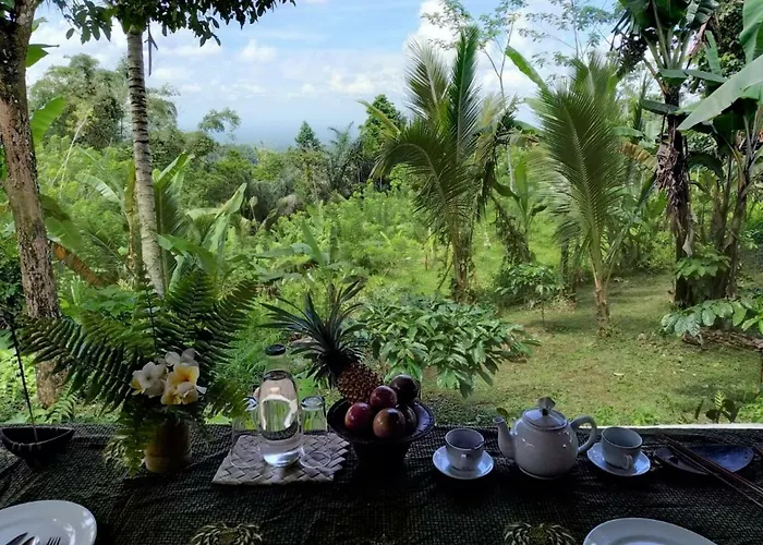 Bali Mountain Forest Orman Evi Penebel