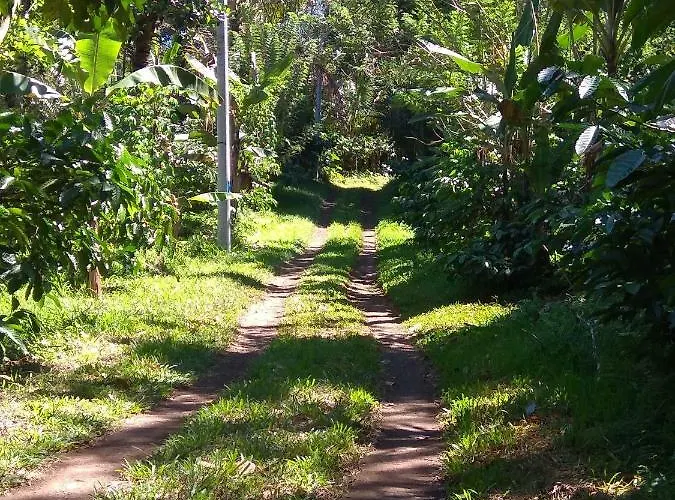 Bali Mountain Forest * Penebel