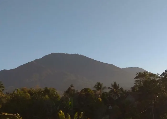 Bali Mountain Forest Orman Evi