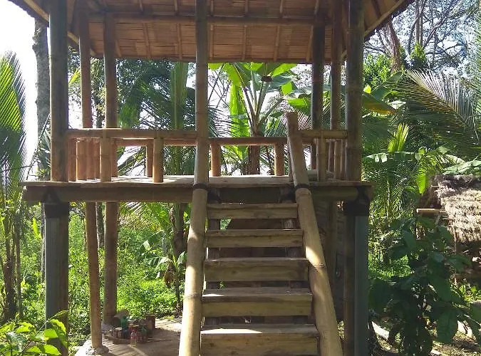Bali Mountain Forest * Penebel