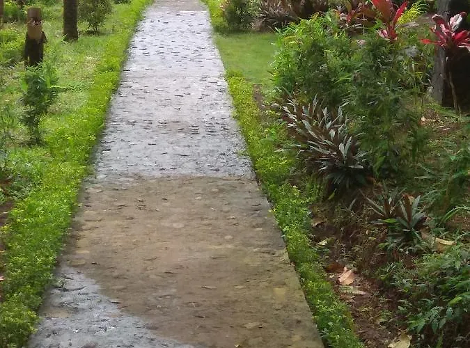 Bali Mountain Forest Orman Evi